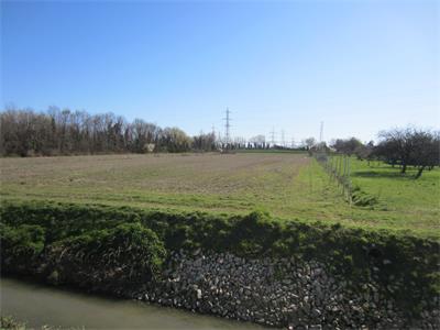 5/2025/1 - terreno agricolo in Venezia Marghera