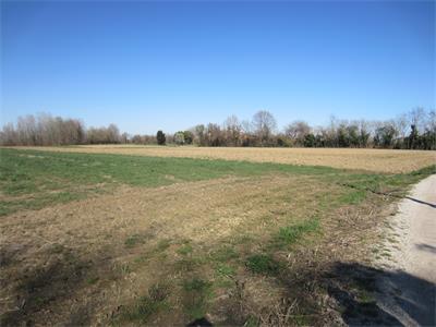 5/2025-2- terreno agricolo in Favaro Veneto