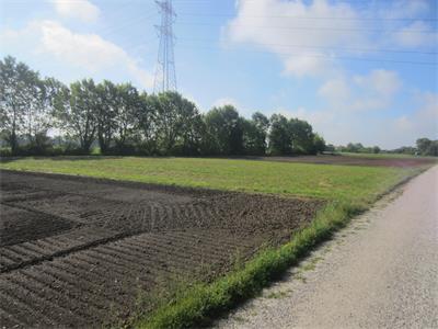 Lotto 8/2026 - Quota 2/15 di piena proprietà di terreno agricolo sito in Mira- Oriago (VE)
